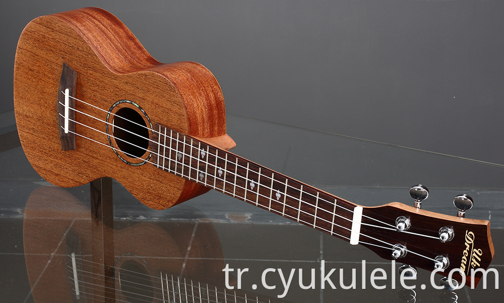 ukulele17